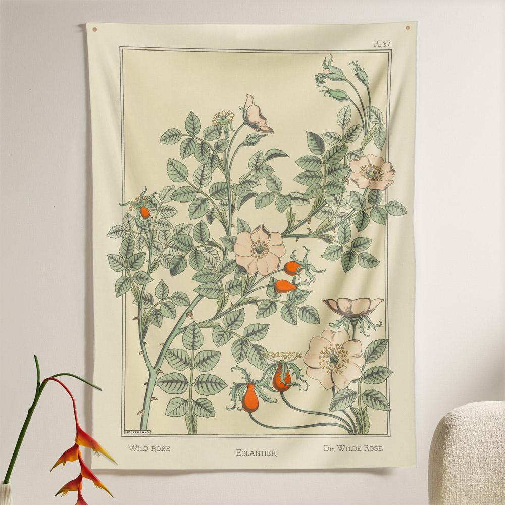 wild-rose-square.jpg